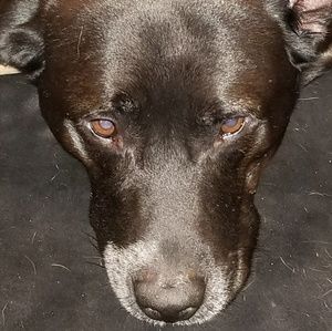 Meet your Posher, Jason